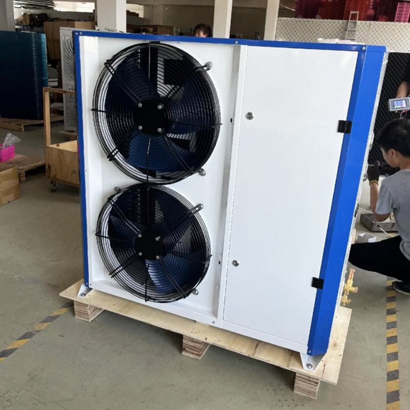 Unit Kondensasi R290/R404A Suhu Rendah Inverter